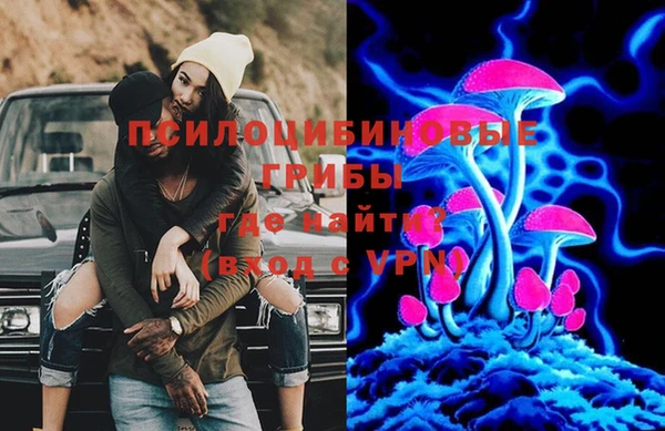 твердый Покачи