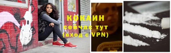 твердый Покачи