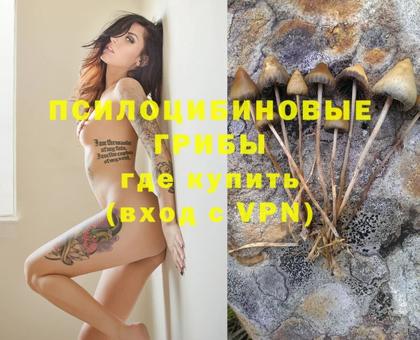 молекула духа Пролетарск