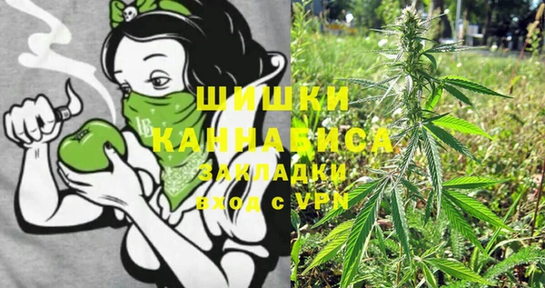 стафф Протвино