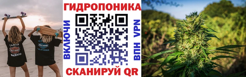 Каннабис Bruce Banner  где найти   Снежногорск 
